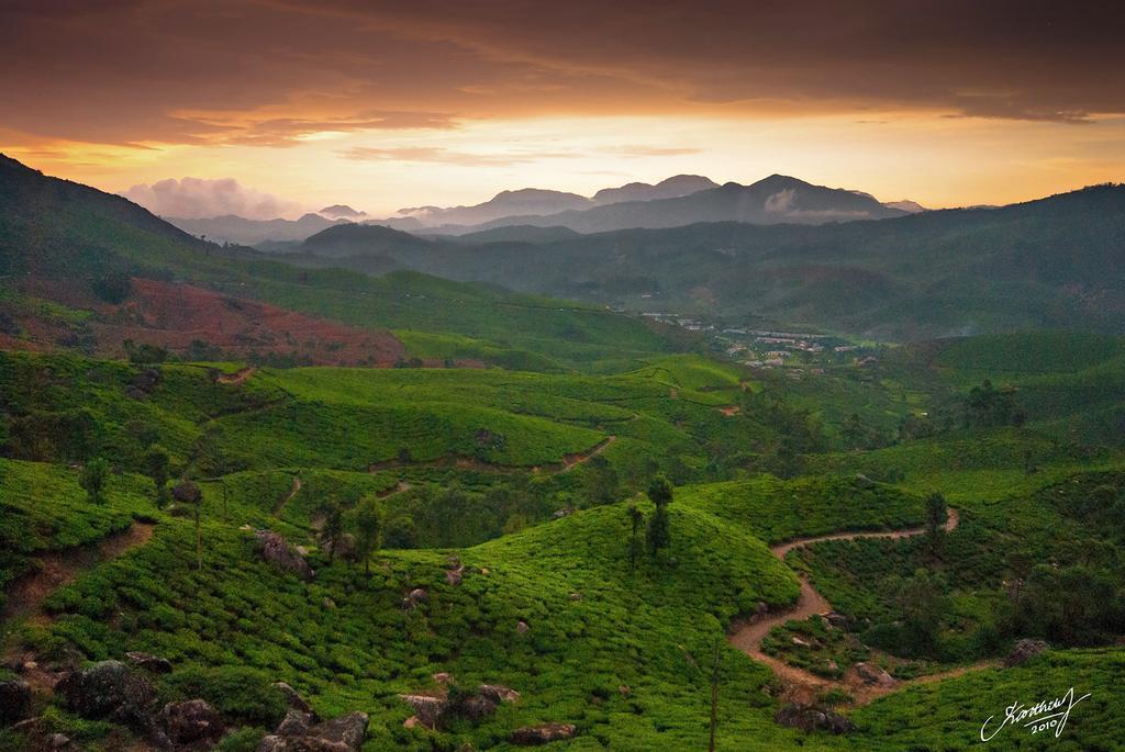 Athens Cottage Munnar Zewnętrze zdjęcie