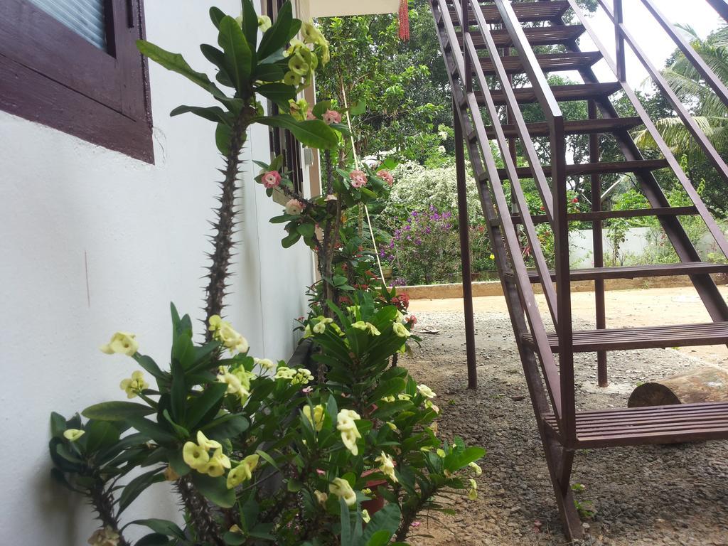 Athens Cottage Munnar Zewnętrze zdjęcie