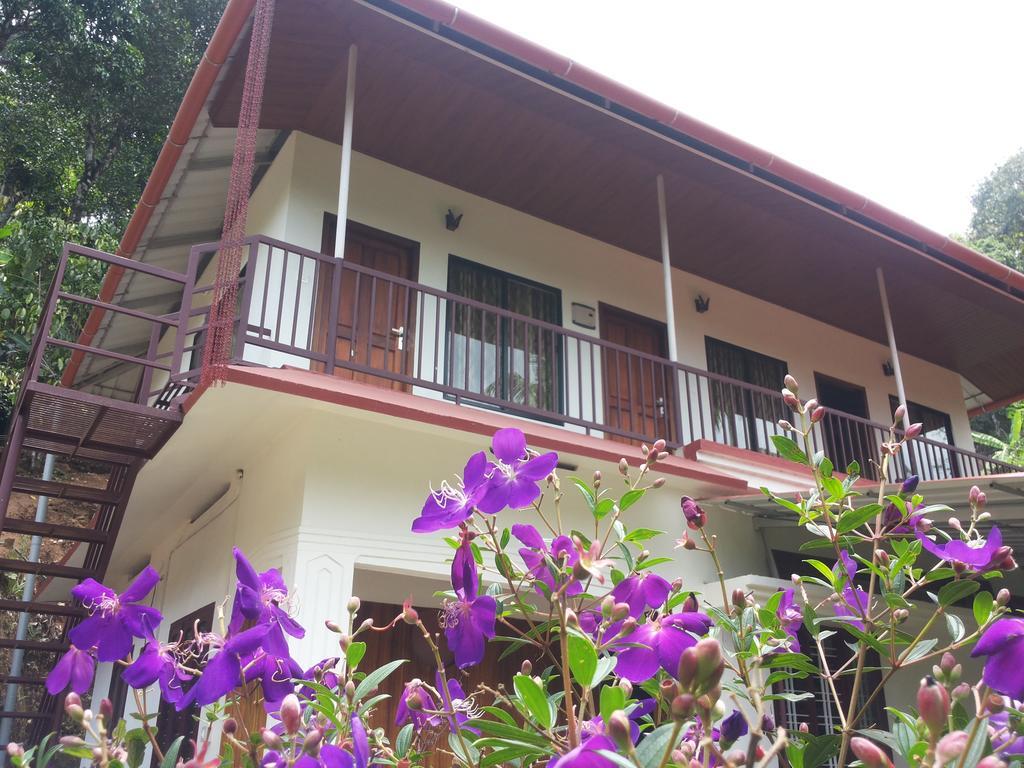 Athens Cottage Munnar Zewnętrze zdjęcie